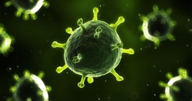 اعرف جسمك.. 4 حقائق مخيفة عن الفيروسات وتمكنها منك
