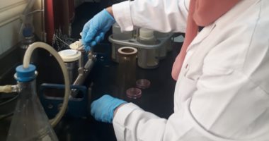 الجيزة لمياه الشرب تؤكد سلامة المياه من اى رواسب بحدائق الأهرام