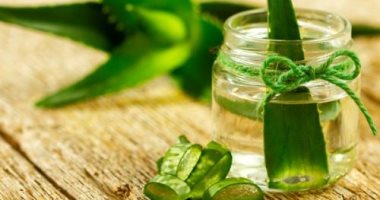 دلع جسمك بالصبار.. يقوى عظامك ويحافظ على الجهاز الهضمى