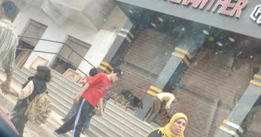 أولياء أمور يستغيثون: الكلاب تحاصر أبنائنا أمام المدراس.. صور