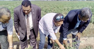 صور .."الزراعة" تتابع تطعيم الخيار والبطيخ والرى بالتنقيط فى الدقهلية