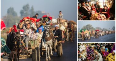 على أول الطريق الزراعى.. رحلة خدام ضيوف الموالد إلى ساحة السيد البدوى