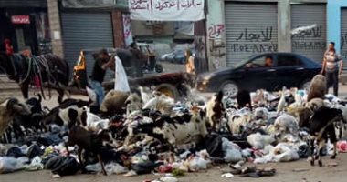 قارئ يشكو من انتشار القمامة أمام مزلقان أرض اللواء بالجيزة