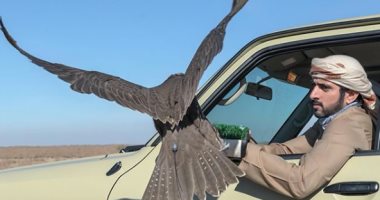 شاهد.. مغامرات ولى عهد دبى فى رحلات الصيد