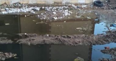غرق مساكن الإسكان بالمنوفية بمياه الصرف الصحى