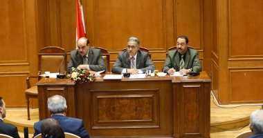"محلية البرلمان" توصي بتحويل الوادي الجديد لمحافظة حدودية