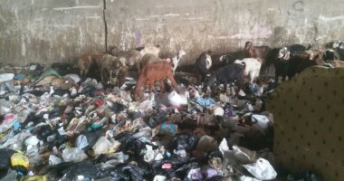 شكوى من تراكم القمامة بنفق عرابى فى العجوزة