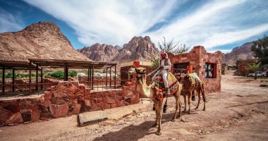 صورة اليوم.. فى دير سانت كاترين.. ما شافش الجمل فى أحضان الجبال