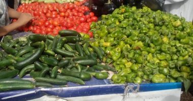 وكيل تموين الأقصر يتفقد أسواق الخضار والمخابز ويتابع توزيع أسطوانات البوتاجاز