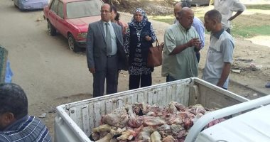 ضبط 700 كيلو لحوم فاسدة فى الزيتون خلال حملة مكبرة