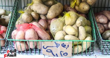 محتكرو البطاطس تحت مجهر الداخلية.. حملات رقابية على الأسواق