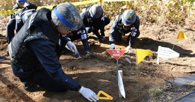 صور.. كوريا الجنوبية تزيل الألغام فى منطقة حدودية مع جارتها الشمالية