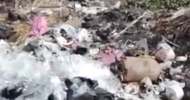 صور.. طفح مصرف شبرا ملكان بقريتين بالمحلة بسبب عدم التطهير