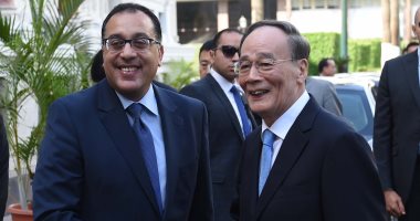 الخارجية الصينية: مصر تشارك فى معرض الواردات الدولى بشنغهاى