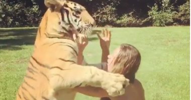لفة فى انستجرام طرزان.. شاهد شاب يداعب ويقبل النمور ويلعب يوجا مع فيل وقرود