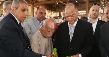 محافظ القاهرة: منافذ ثابته ومتحركة لتوفير الخضر والفاكهة بأسعار سوق العبور