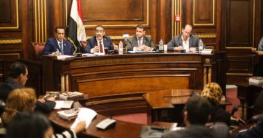 خطة وزارة الثقافة لدعم التوجة المصرى لأفريقيا أمام "أفريقية النواب" الأثنين