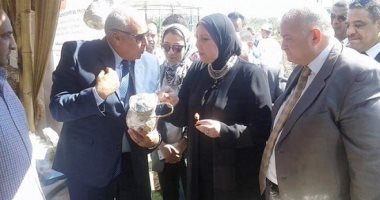 نيفين جامع : تمويل 13 ألف مشروع فى الوادى الجديد على مدار 26 عاما
