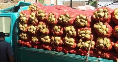 ارتفاع صادرات مصر الزراعية لـ أكثر من 3.6 مليون طن خلال 6 أشهر
