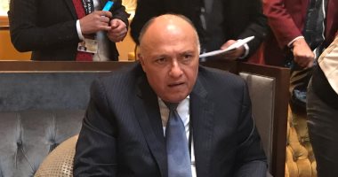 سامح شكرى عن نتائج زيارة السيسى للنمسا: دفعة جديدة للعلاقات تعيد اللجنة المشتركة بين القاهرة وفيينا بعد توقفها لسنوات.. وزير الخارجية: الزيارة شاملة والجانب النمساوى أبدى اهتماما كبيرا باستقبال الرئيس