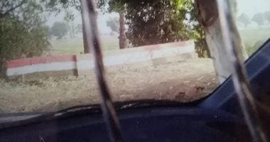 صور.. التعدى على ترعة العرابة بحرى بقرية ادفا يمنع وصول مياه الرى للأراضى