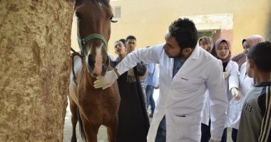 قوافل بيطرية بجامعة سوهاج تشخيص و تعالج 1017 حالة 