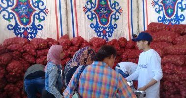 الإحصاء: انخفاض تصدير البطاطس والبصل إلى 290 مليون دولار خلال 8 شهور