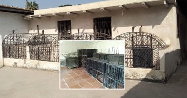 صور.. "مش للبنى آدمين بس".. فندق لإقامة الكلاب والقطط بكفر الشيخ.. "الطب البيطرى": مبيت الكلب بـ10 جنيهات والقطة بـ3 لليلة.. ومسئول الفندق: نرعاها ونجرى الكشف عليها حتى تسليمها لأصاحبها ونستخرج رخص السفر