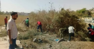 صور.. إزالة الهيش والزراعات من الجبانة الفاطمية الأثرية بأسوان
