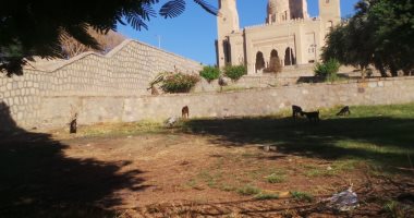 اضبط مخالفة.. مسجد بدر الطابية الأثرى بأسوان يتحول إلى حظيرة مواشى