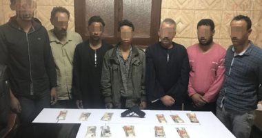 أمن الجيزة يسقط عصابة وراء السطو على مزرعة ماشية بمنشأة القناطر