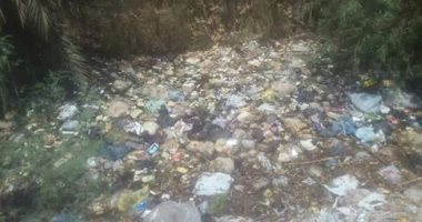 قارئ يناشد الرى بتطهير مصرف نجع الكراعى فى سوهاج