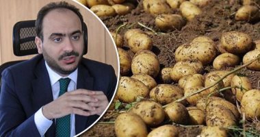 أزمة البطاطس تُشعل الصراع بين حماية المنافسة والمصدرين.. الجهاز: تلقينا بلاغات باحتكار سوق التصدير.. ويؤكد: ارتفاع الأسعار أضر بالقدرة الشرائية للمواطنين والغرف التجارية ترد: مداهمة المقرات غير مبرر ومرفوض
