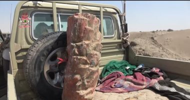 فيديو.. جذوع النخيل أحدث أشكال العبوات الناسفة الحوثية باليمن