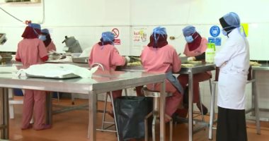 فيديو.. جهاز المشروعات الصغيرة: نشارك فى نجاح مسابقة مفتاح مشروعك ونتحمل الخسارة