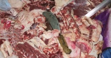 الطب البيطرى بسوهاج يضبط كمية من اللحوم غير صالحة للاستهلاك الآدمى