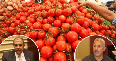 بشائر عروة الطماطم النيلية.. 480 ألف طن فى الأسواق خلال أسبوعين.. "الزراعة" تؤكد: المحصول الجديد خرج من دائرة الإنتاج بسب صنف "023" المفيرس.. ونقيب الفلاحين  يحمل الوزارة مسئولية ارتفاع أسعار "القوطة"