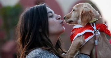 عيد الحب مع الكلاب أجمل.. ملك ترفع شعار "يا بخت اللى حبيبه كلب"
