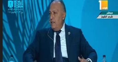 وزير الخارجية: مصر لا تتدخل فى شئون الغير واستئصال الإرهاب يحقق الاستقرار