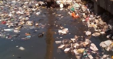 استجابة لـ "اليوم السابع".. محافظ القليوبية يوجه بتطهير ترعة "أم بيومي"