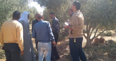 صور .. "الزراعة" تشكل لجانا لبحث شكاوى مزارعى الزيتون بوادى النطرون