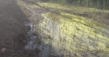 صور.. مياه الصرف الصحى تغرق الوحدة الصحية بقرية سنبارة فى الغربية