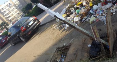 قارئ يشكو وجود بالوعة صرف بدون غطاء بشارع الميثاق فى زهراء مدينة نصر