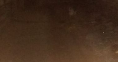 صور.. شكوى من عدم وجود أعمدة إنارة بطريق بقرية المنوات الجيزة 