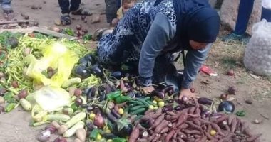 تداول صور لسيدة بعد الإطاحة ببضاعتها على الأرض فى حملة إشغالات بدمياط
