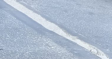 صور.. قارئ يشكو من تهالك فواصل كوبرى 15 مايو اتجاه ميدان لبنان