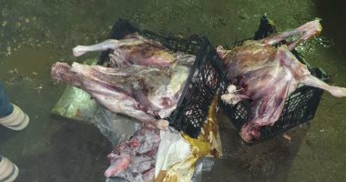 صور.. ضبط لحوم كلاب قبل توزيعها على محال المأكولات فى شبرا الخيمة