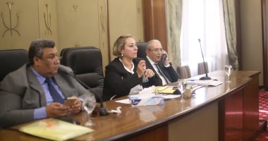 تنفيذ 114 ملعبا بمراكز الشباب بتكلفة 143 مليون جنيه منذ بداية العام المالى