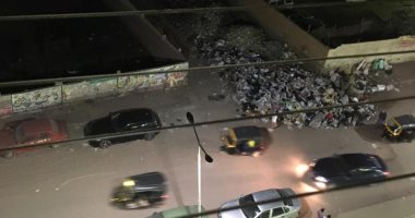 قارئ يشكو من انتشار القمامة والكلاب بشارع كعبيش بمنطقة الطوابق
