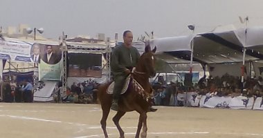 انطلاق فعاليات اليوم الثانى لمهرجان الخيول العربية بالمنوفية بمشاركة 132حصانا